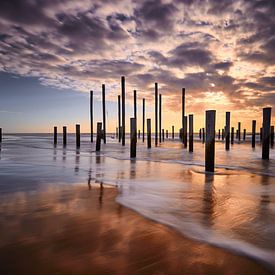 Palendorp Petten by Peter de Jong