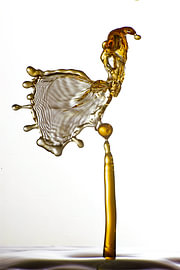 Dancing Drop by Mario Letschert