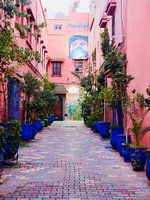 Pink street with blue flower pots in Marrakech