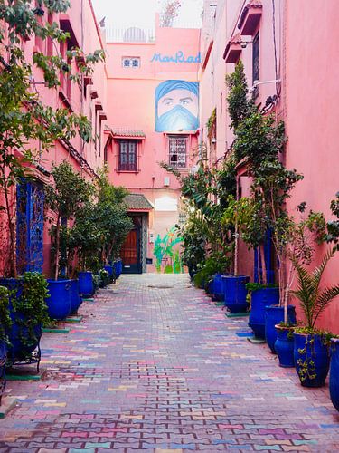 Rue rose avec pots de fleurs bleus à Marrakech