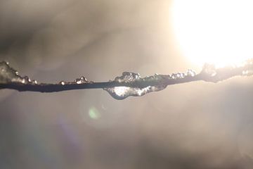 Porträt von Tauwetter von JacQ