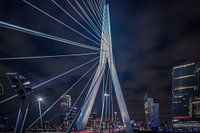 Erasmusbrug, Rotterdam