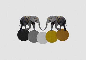 Tribal Elephants by Orara Studio