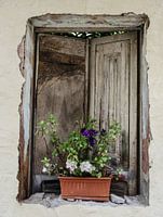 The window