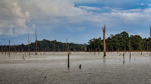 Het Brokopondomeer in Suriname