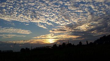 First Photo by Anne  Van Meurs