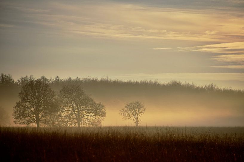 Landschaft, Duurswoude von Meta Mulder-Veening