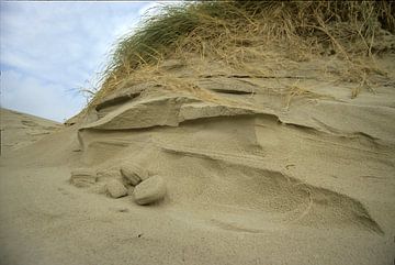 natte duinen von Ralph Jongejan