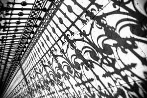 Lines and shadows