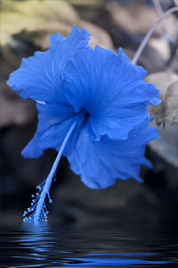 Blue Lake