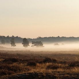 Fog on the heath near Vierhouten by Caught By Light