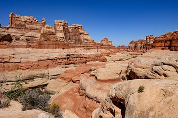 Canyonlands, The Needles District V by Gerry van Roosmalen