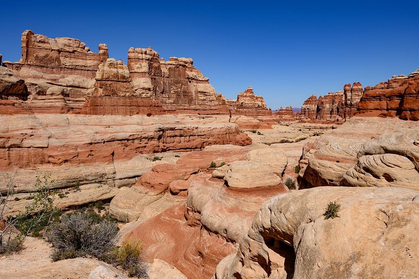 Canyonlands, Die Nadeln Bezirk V von Gerry van Roosmalen