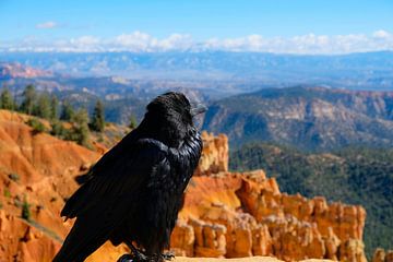Big Bastard, Bryce Canyon, United States von Colin Bax