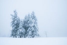 Loneliness in the cold snowy landscape by Anselm Ziegler Photography