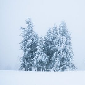 Solitude dans le paysage enneigé et glacial sur Anselm Ziegler Photography