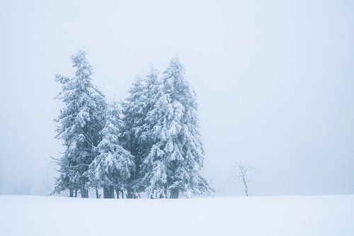 Eenzaamheid in het koude sneeuwlandschap