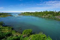 IJsland - Turquoise water van rivier tussen groene planten die uitmondt in de oceaan