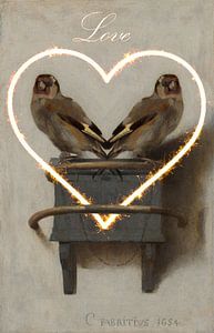 Love birds