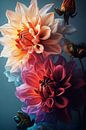 Color explosion of Dahlias iv by Studio BB thumbnail