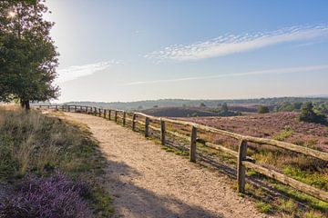 Vue de la Posbank, Veluwe sur Charlene van Koesveld