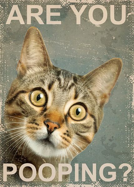 Funny Cat Are You Pooping by Classic artwork