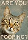 Funny Cat Are You Pooping by Classic artwork thumbnail