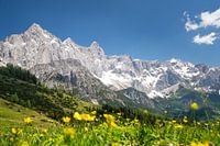 Der Dachstein