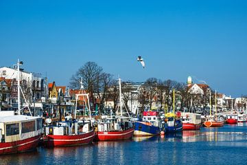 Blick auf den Alten Strom in Warnemünde von Rico Ködder