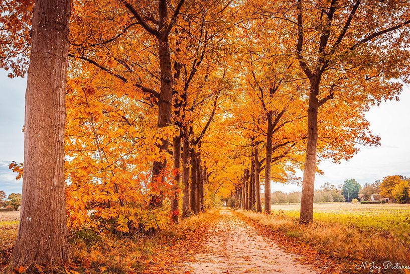 Fall 2022 by N-Joy Pictures