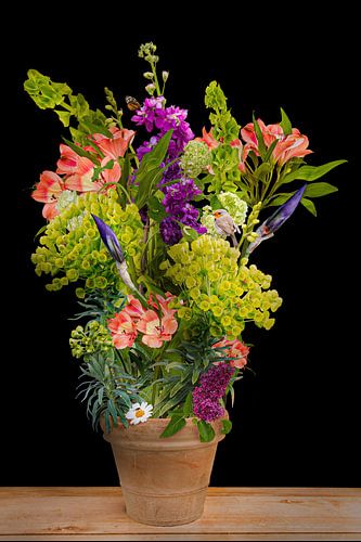 The garden in a terracotta pot by Klaartje Majoor