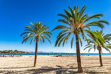 Baai van Alcudia op Mallorca mooie kust, strand van Alex Winter