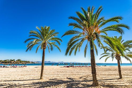 Baai van Alcudia op Mallorca mooie kust, strand