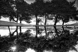 Reflectie van Ewald Zomer