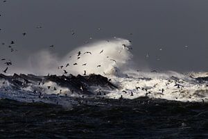 Storm IJmuiden zuidpier