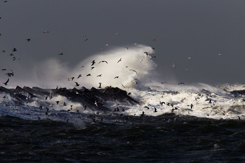 Storm IJmuiden zuidpier von Menno van Duijn