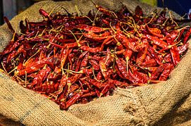 Scharfe Chilischoten auf dem Markt in Negombo Sri Lanka von Dieter Walther