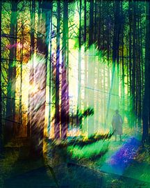 Mystik 2 van Gertrud Scheffler