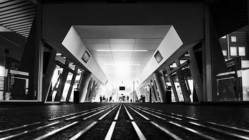 Station Lines
