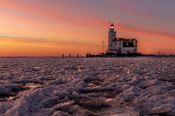 The horse of Marken at sunrise