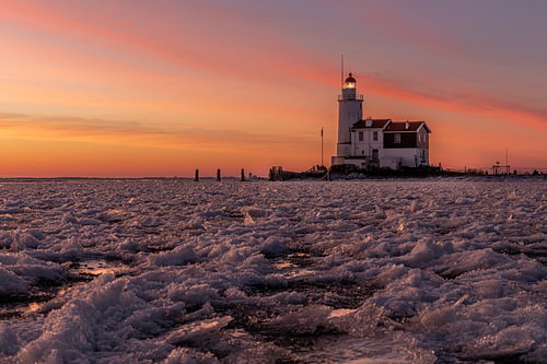 The horse of Marken at sunrise