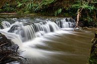 Rapids by Ton de Koning thumbnail