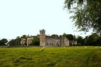 Lacock Abbey Estate