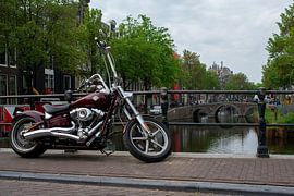 Harley-Davidson van Peter Bartelings