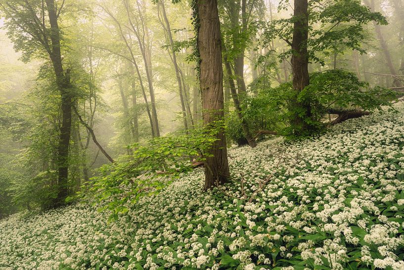 Countless excitements by Loris Photography