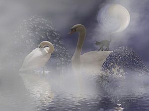 im Nebel