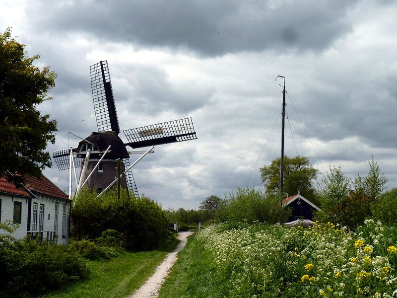 Hollands beeld van M de Vos