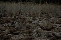 Natuur 1 van Jacques Vledder thumbnail