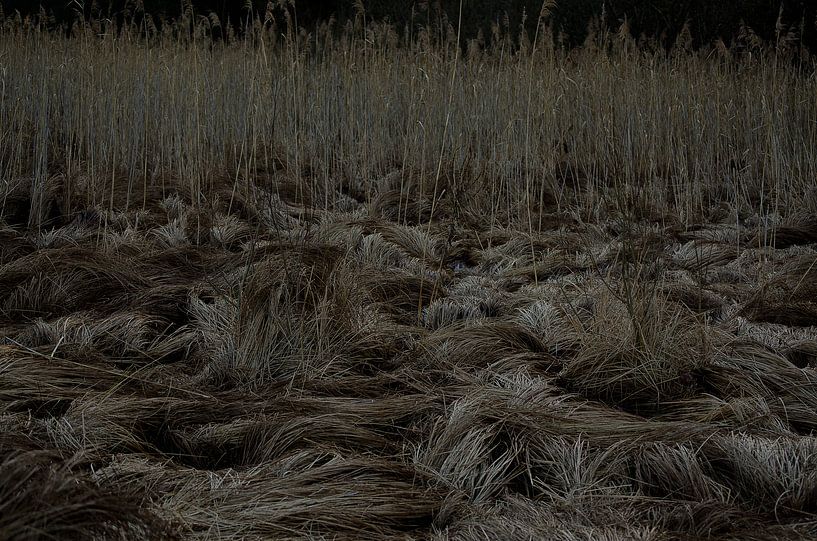 Natuur 1 van Jacques Vledder