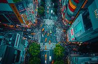aerial photography over city and country by Egon Zitter thumbnail